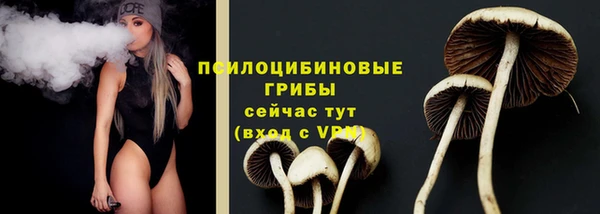 скорость Алзамай